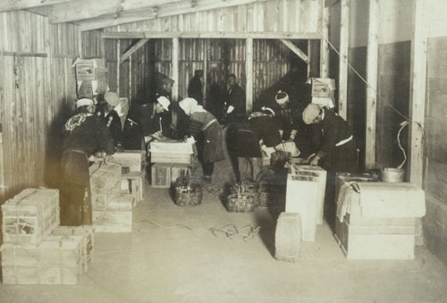 �ב���̕��i1