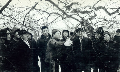 �t�̙����2