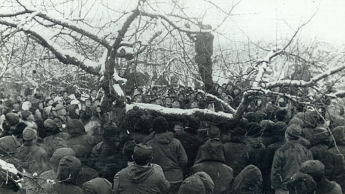 �t�̙����3