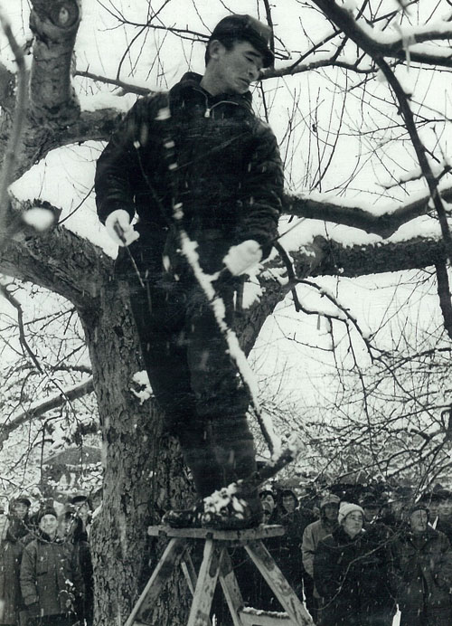 �t�̙����1